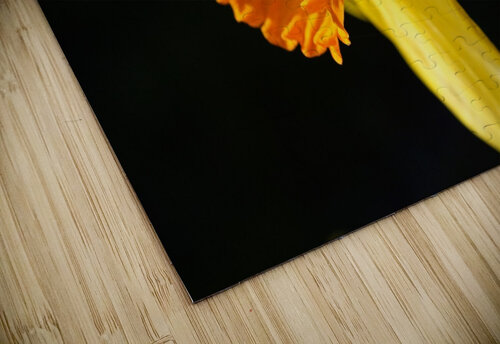 Daffodil Yellow Joy Watson puzzle