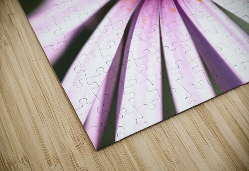 Daisy Pink Joy Watson puzzle