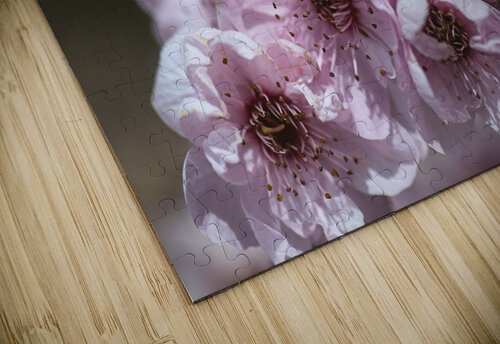 Pink Blossom Joy Watson puzzle