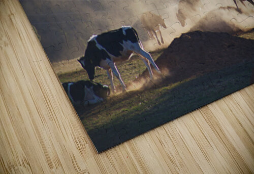 Cows Are Playing Games Joy Watson puzzle