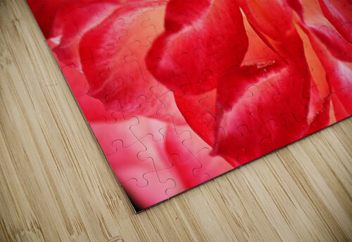 Red Rose Petals Joy Watson puzzle