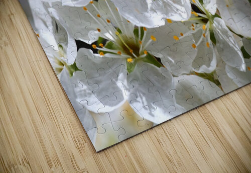 Reaching Up High Blossom Joy Watson puzzle