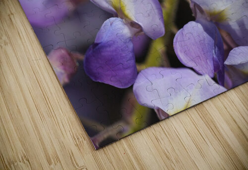 Wisteria Purples Joy Watson puzzle