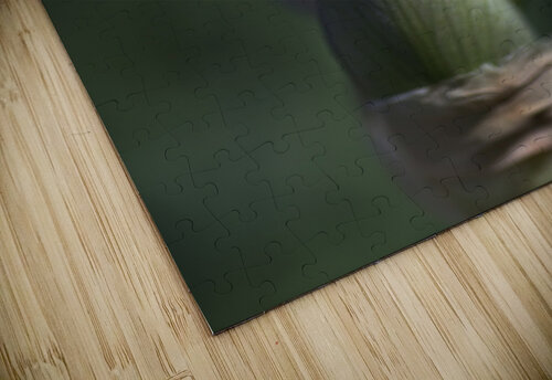 Iris Just Opening Joy Watson puzzle