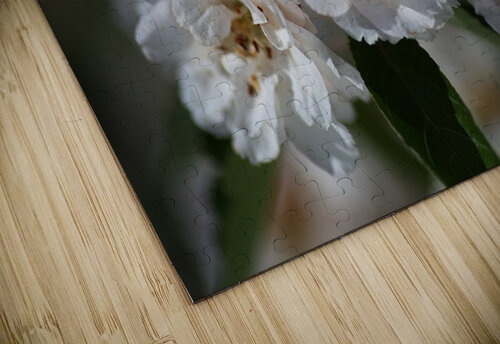 Crabapple Flowers Joy Watson puzzle