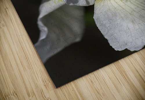 White Iris Joy Watson puzzle