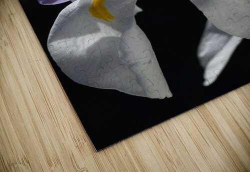 Iris White and Yellow Joy Watson puzzle
