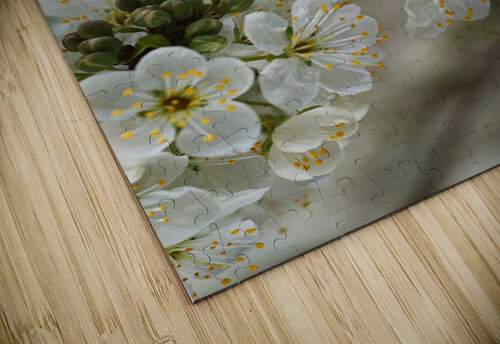 White Blossom Joy Watson puzzle