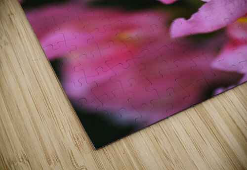 Snapdragon Flowers Joy Watson puzzle