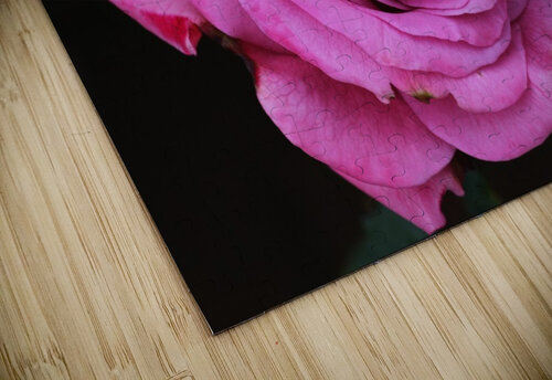 Divine Pink Rose Joy Watson puzzle