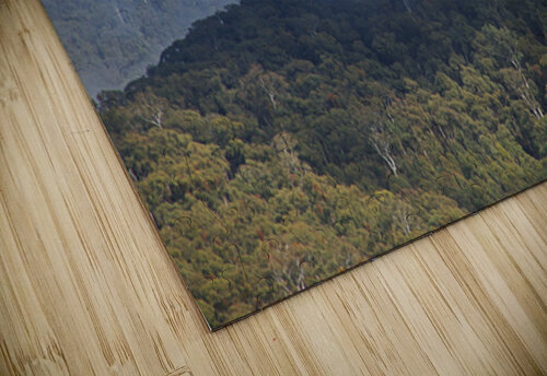 Trees Within Her Mist Joy Watson puzzle