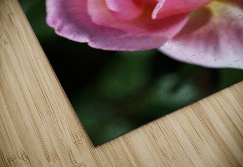 Double Pointed Pink Rose Joy Watson puzzle