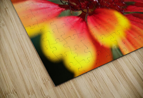  Blanket Flower Joy Watson puzzle
