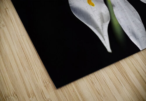 White Iris  Joy Watson puzzle
