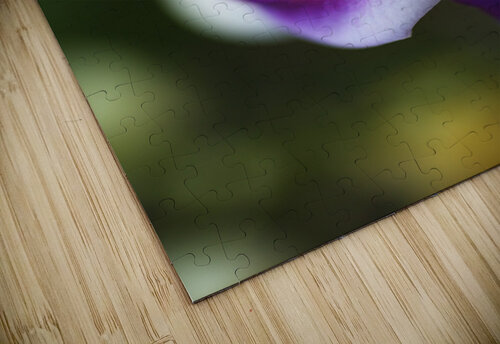 Corkscrew Flower Curls Joy Watson puzzle