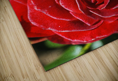 Romance Red Rose Joy Watson puzzle