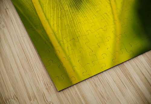 Monstera Deliciosa Leaf Joy Watson puzzle