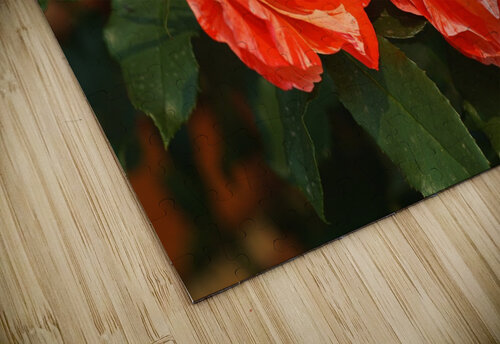Rose Pair Two Toned Joy Watson puzzle
