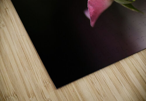 Rose Bud Pink Joy Watson puzzle