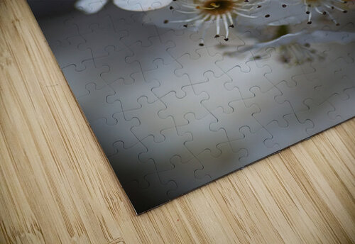 Blossom Spring Delight  Joy Watson puzzle