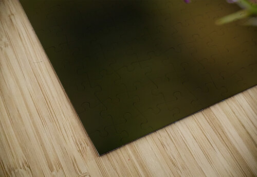 Wallflower Palette  Joy Watson puzzle