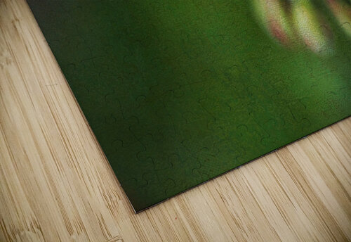 Geranium Buds Red Textured Joy Watson puzzle