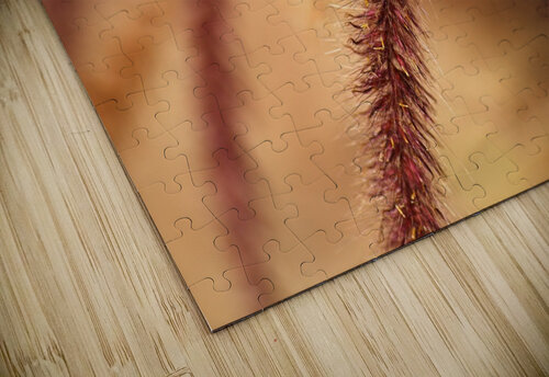 Grasses Wild Joy Watson puzzle