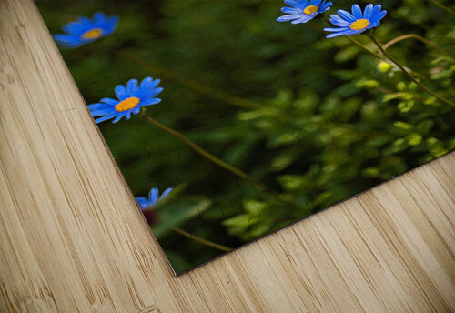 Daisy Garden Joy Watson puzzle