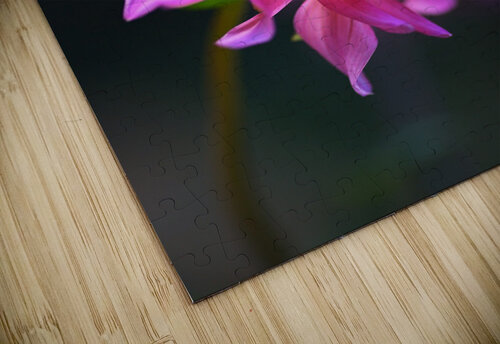 Dahlia on A Cloud Joy Watson puzzle