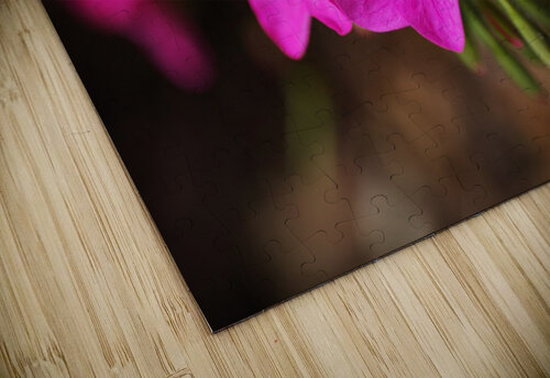 Geraniums In Pink Joy Watson puzzle