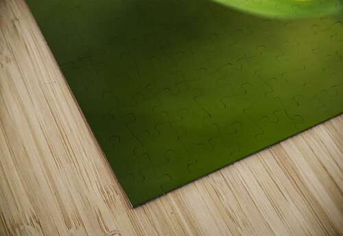 Tulip Bud  Joy Watson puzzle