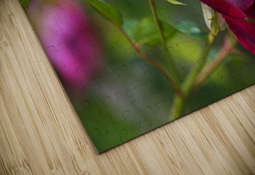 Rose Bud Pink Joy Watson puzzle