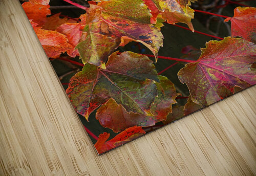Autumn Leaves Joy Watson puzzle