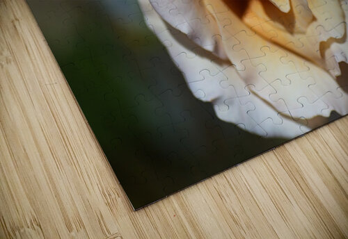 Lush Coffee Rose Joy Watson puzzle