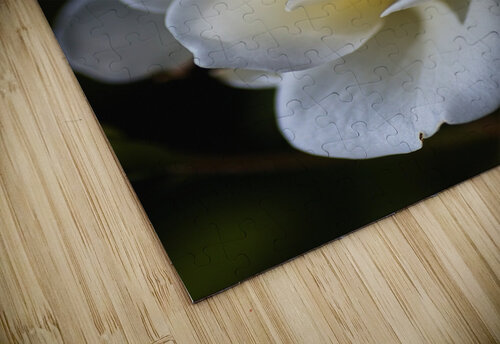 Rose White Joy Watson puzzle