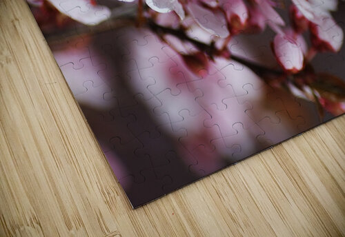 Blossom Spring Pink Joy Watson puzzle