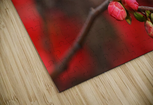 Bright Quince Spring Joy Watson puzzle