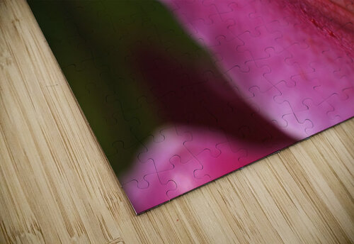 Reaching Lily Petals Joy Watson puzzle