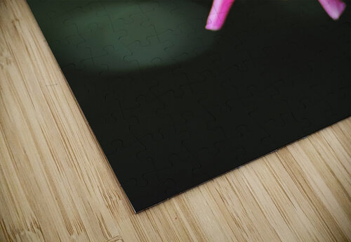 Dahlias Eye Joy Watson puzzle