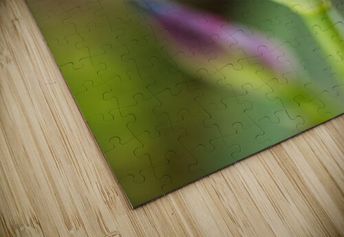 Iris Leaf Purple Buds Joy Watson puzzle