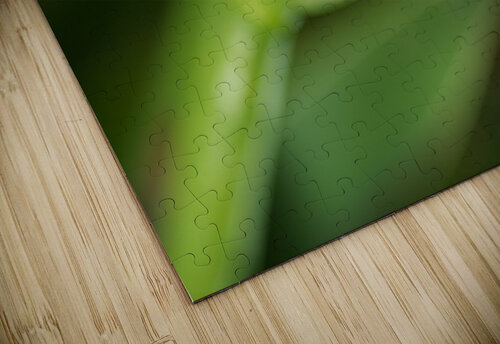 The Iris Spathe Joy Watson puzzle