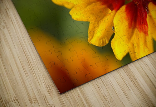 Blanket Flower Blooming Joy Watson puzzle