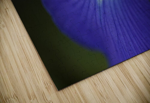 Blue Dreamy Iris Joy Watson puzzle