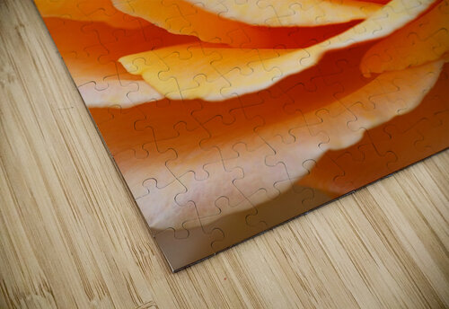 The Orange Rose  Joy Watson puzzle