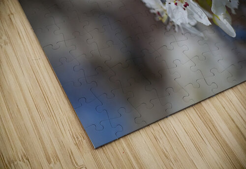 The White Blossom Joy Watson puzzle