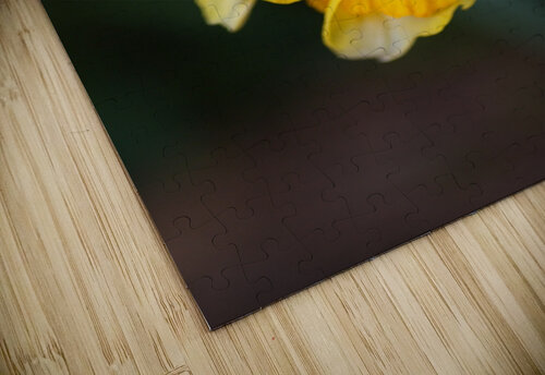 Double Daffodil Yellow Joy Watson puzzle