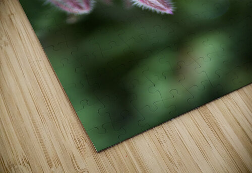 Borage Flower Joy Watson puzzle