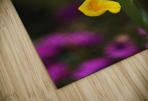 Iris Over Pink Daisies  Joy Watson puzzle