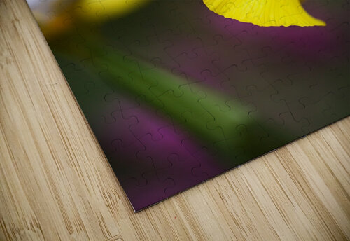 Iris In Side Face Joy Watson puzzle