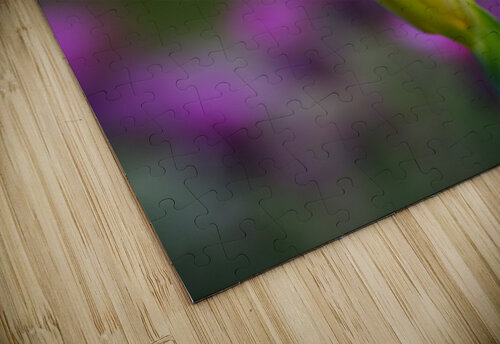 Iris Hope Joy Watson puzzle